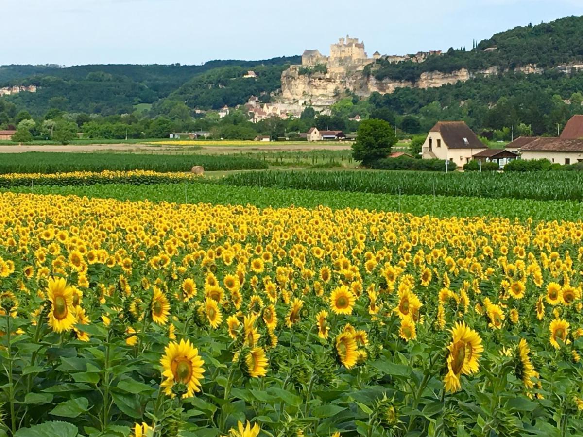 La Source, Beynac, Dordogne Hotel Bagian luar foto